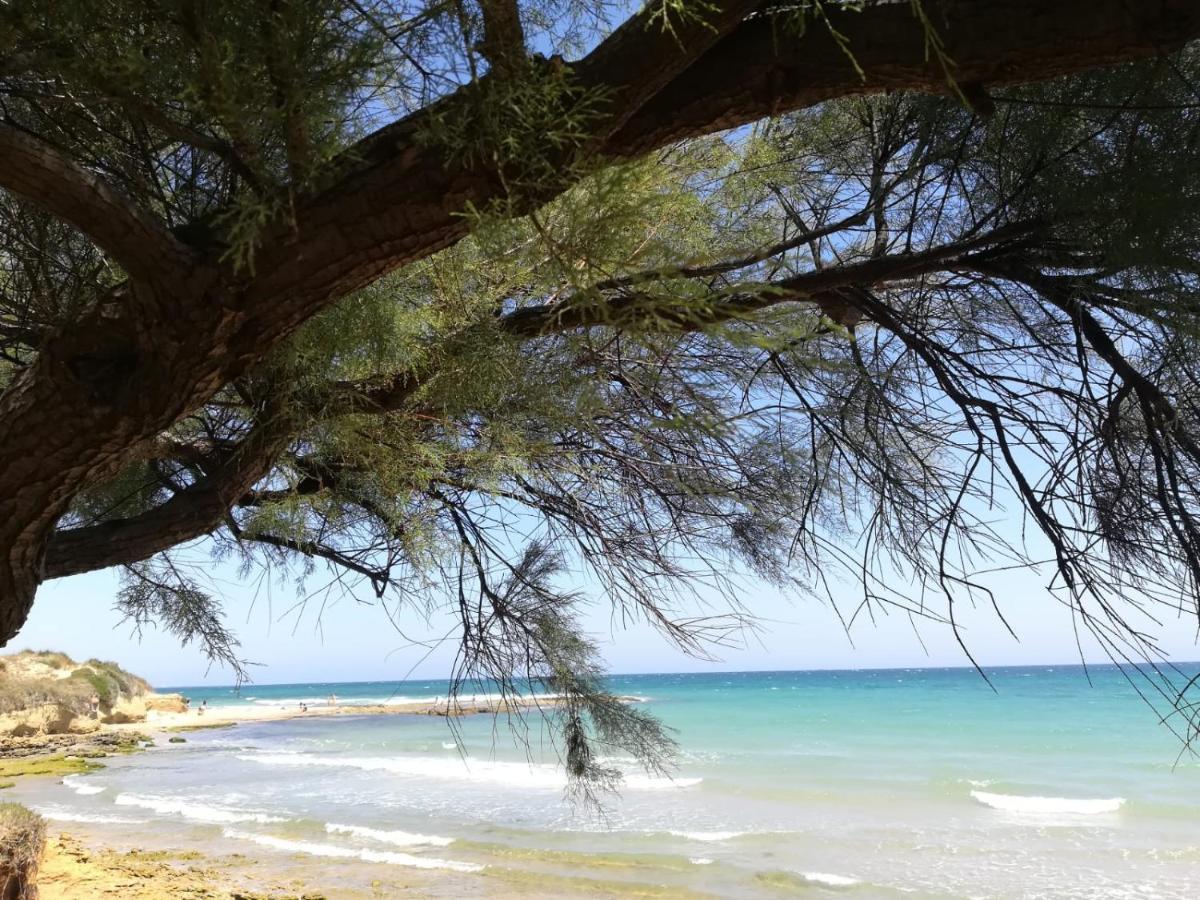 Tra Vento E Mare Apartman Lendinuso Kültér fotó