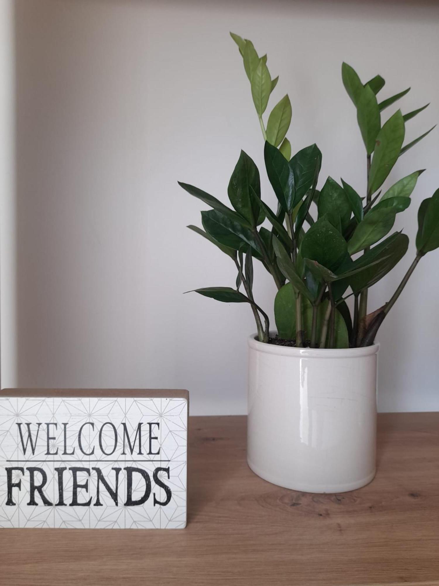 Tra Vento E Mare Apartman Lendinuso Kültér fotó